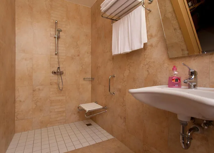 酒店 瑞米酒店 4*