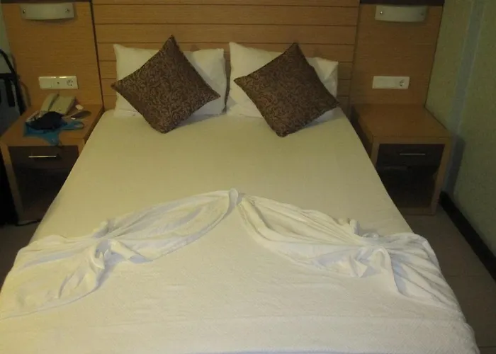 酒店 瑞米酒店 阿拉尼亚